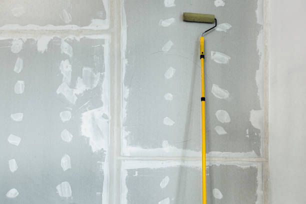 Best Mold Removal for HVAC Installations  in Carlisle, KY