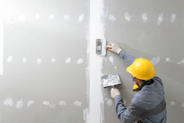 Mold Removal for HVAC Installations in Carlisle, KY
