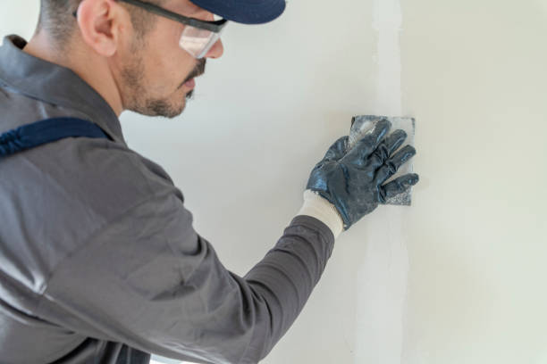 Best Residential Mold Inspection & Testing  in Carlisle, KY