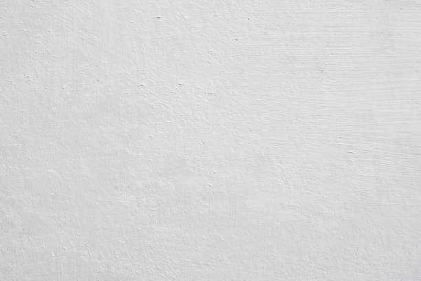 Carlisle, KY Mold Removal Company