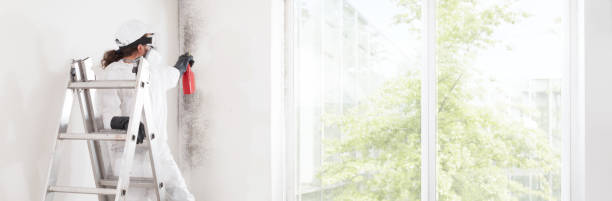 Best Post-Construction Mold Inspection  in Carlisle, KY