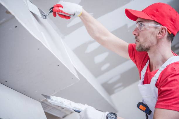 Best Biohazard Mold Removal  in Carlisle, KY